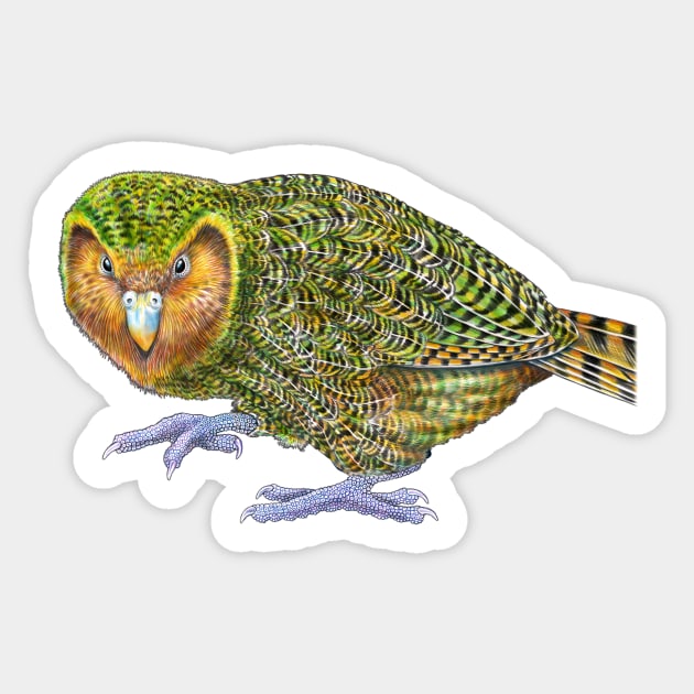 Kakapo Sticker by Tim Jeffs Art